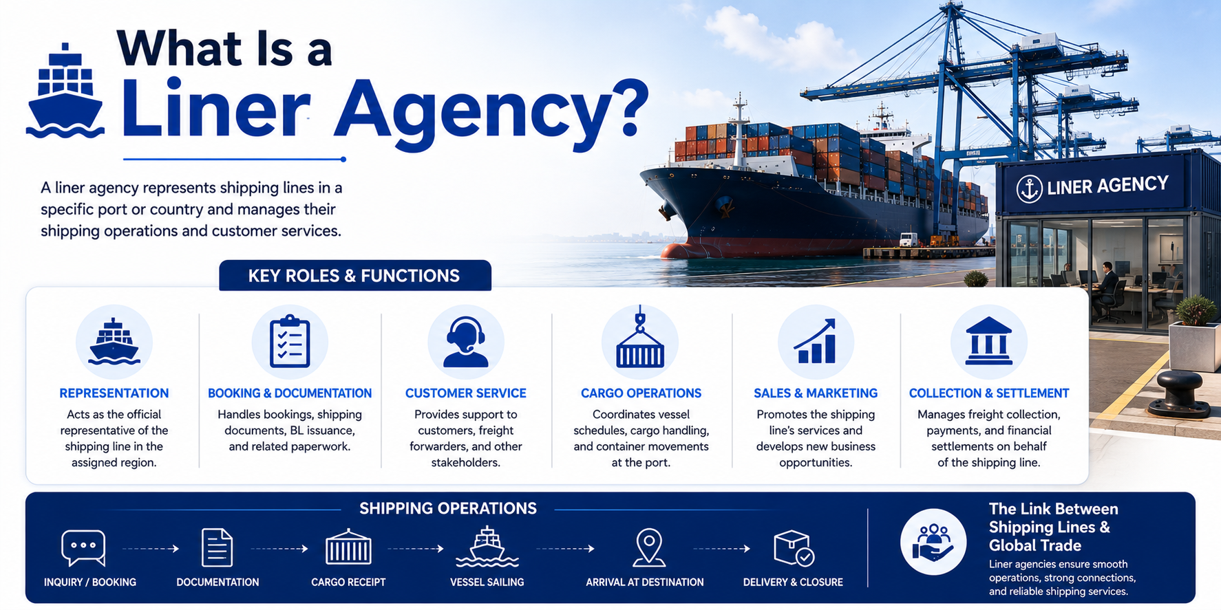 What Is a Liner Agency?: Roles, Functions & Shipping Operations
